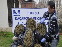 Bursa'da uyuşturucu operasyonu