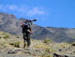 Oral Çalışlar: Çekilen 3 bin PKK'lı Rojava'da...