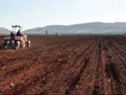 İllerin tarım alanı zenginliği