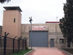 BDP: Acilen İmralı Adası'na gitmemiz gerekiyor