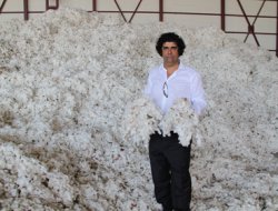 "Pamuk Çukurova'ya geri dönsün"