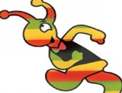 KURTCELL vizesi çıkmadı