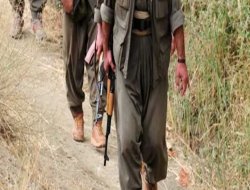 PKK'lılar Siirt'te 4 işçiyi kaçırdı!