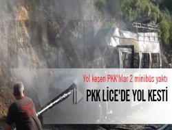 PKK Lice`de yol kesip 2 minibüs yaktı