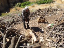 67'lik dede odun keserek geçimini sağlıyor