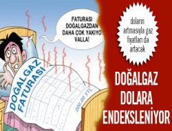 Doğalgaz dolara endeksleniyor