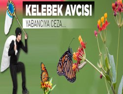 Kelebek avcısı yabancıya ceza