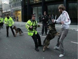 İngiltere`de Müslümanlara `Terör` Baskısı