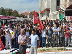 Müslümanlar kardeşleri için meydanlarda