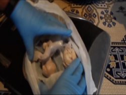 Van'da 10 'torbacı' tutuklandı