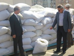 47 milyon kök Hint keneviri ele geçirildi