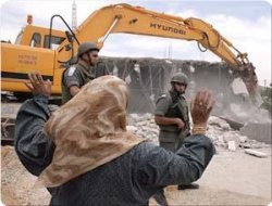 Terör rejimi Filistinli bedevilerin evini yıktı