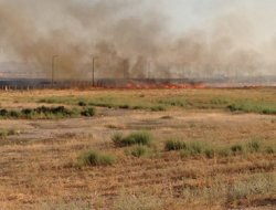 Batman'da korkutan anız yangını