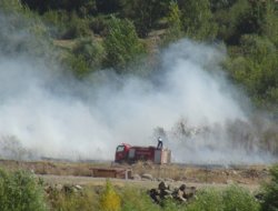 Kavak bahçesinde yangın