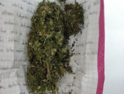 Eşzamanlı uyuşturucu baskınları: 7 tutuklama