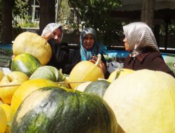 Bitlisliler kış hazırlıklarına başladı