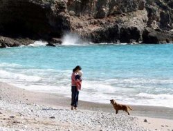 Köpek İçin Sadık Dost Diyenler Haklı Çıktı