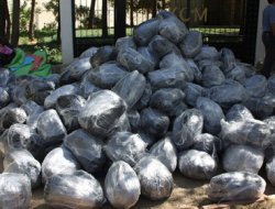 Diyarbakır'da 900 kg esrar ele geçirildi