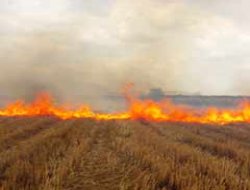 Filistin`de sivil işgalci şiddeti