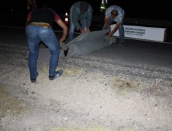 Nusaybin'de bir erkek cesedi bulundu