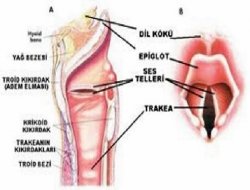 "Kekemelik tarihe karışıyor"