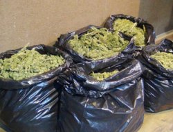 Şanlıurfa'da 48 kilo esrar ele geçirildi