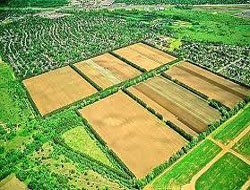 Köylünün işlediği hazine arazisi onun olacak