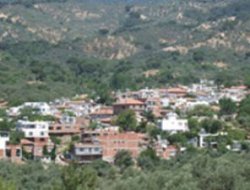 Kurtiz'in vasiyeti yerine getirilmiyor