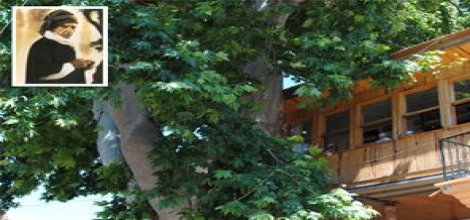 Barla'da Bediüzzaman Müzesi yapılacak