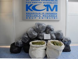 Siverek'te esrar baskını: 3 gözaltı