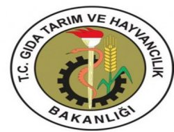 En Çok Proje Tarımdan Geldi