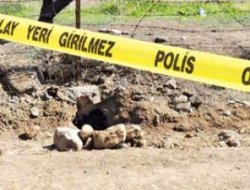 Bingöl'deki Firar tüneline akademik inceleme