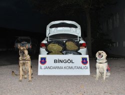 Bingöl'de 60 kg esrar yakalandı