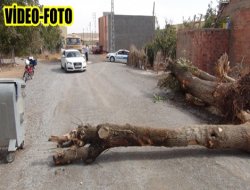 Mahalleli ‘Çınar Belediyesine‘ tepki nedeniyle yolu kapattı