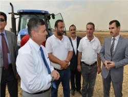 "Anız yakanlara 700 bin TL para cezası uygulandı"