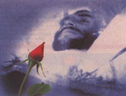 Şehit Metin Yüksel