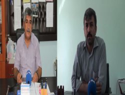 "Başörtüsü serbestliği sınırlı kalmamalı"