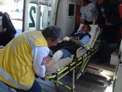 74 yaşındaki adam kurt saldırısına uğradı