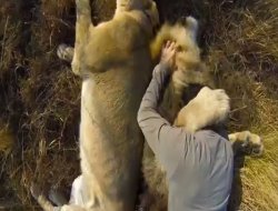 İnsan, izlerken bile korkuyor!