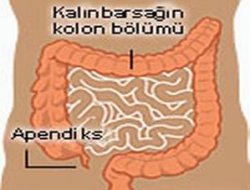 Apandisit nedir?