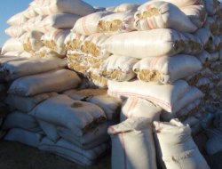 Saman satışları satıcıların yüzünü güldürdü