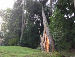 İtalya şiddetli fırtınaya teslim oldu