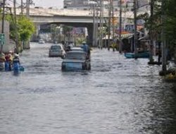 Lehîyê Heyat Felç Kir