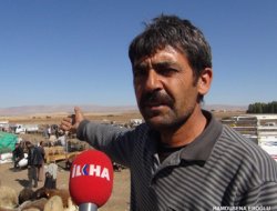 Muşlu hayvan sahipleri durumlarından memnun değil