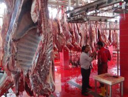 Batman Umut-Der 5 bin aileye kurban eti ulaştıracak