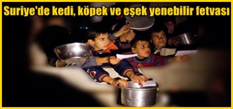 Suriye'de kedi, köpek ve eşek yenebilir fetvası