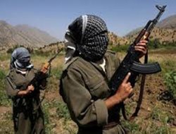 PKK mensupları iki vatandaşı darp etti