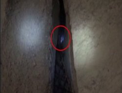 İzlerken hayretler içinde kalacaksınız