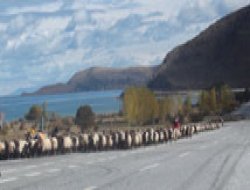 Göçebeler sıcak bölgelere doğru gidiyor