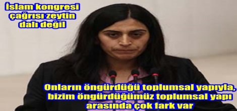 Öcalan`ın Çağrısı İslami Cemaatlere Zeytin Dalı Değil